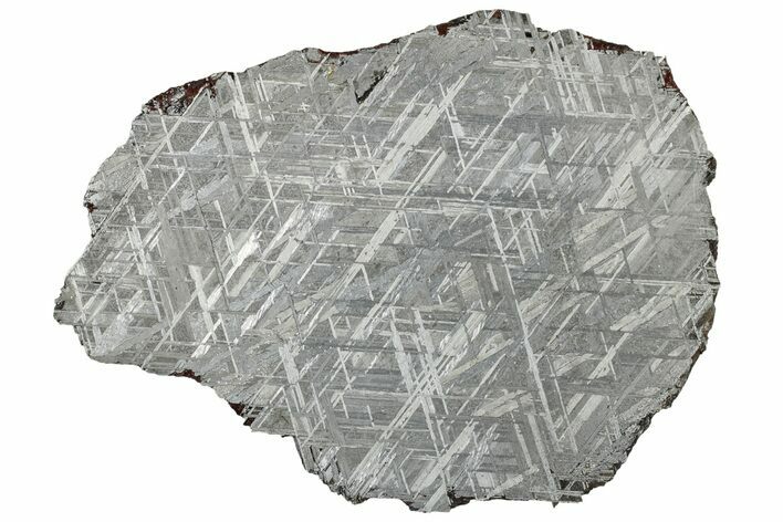 Etched Muonionalusta Meteorite Slice ( g) - Sweden #309800